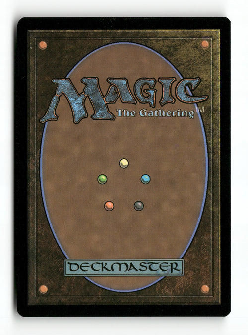 Blight Rot (Back)