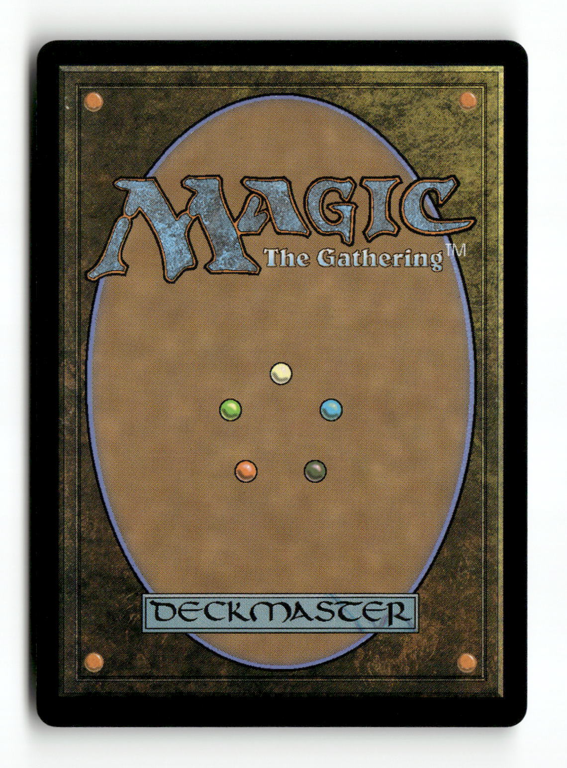 Keen-Eyed Curator (Back)