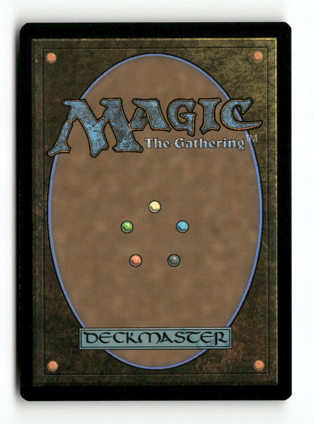 Timid Shieldbearer (Back)
