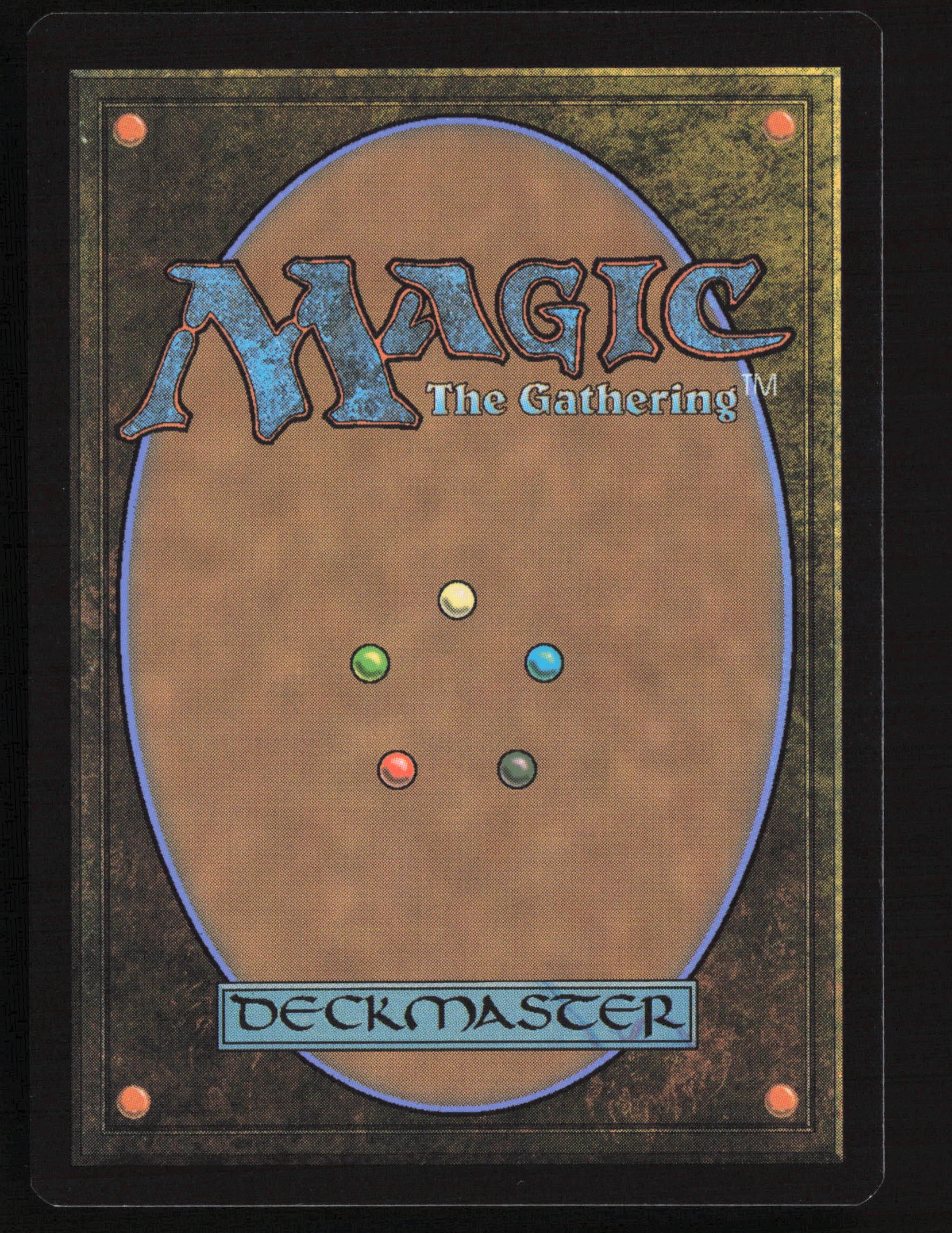 Scrounging Skyray (Back)