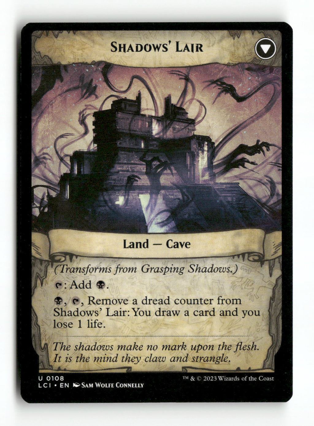 Grasping Shadows (Back)