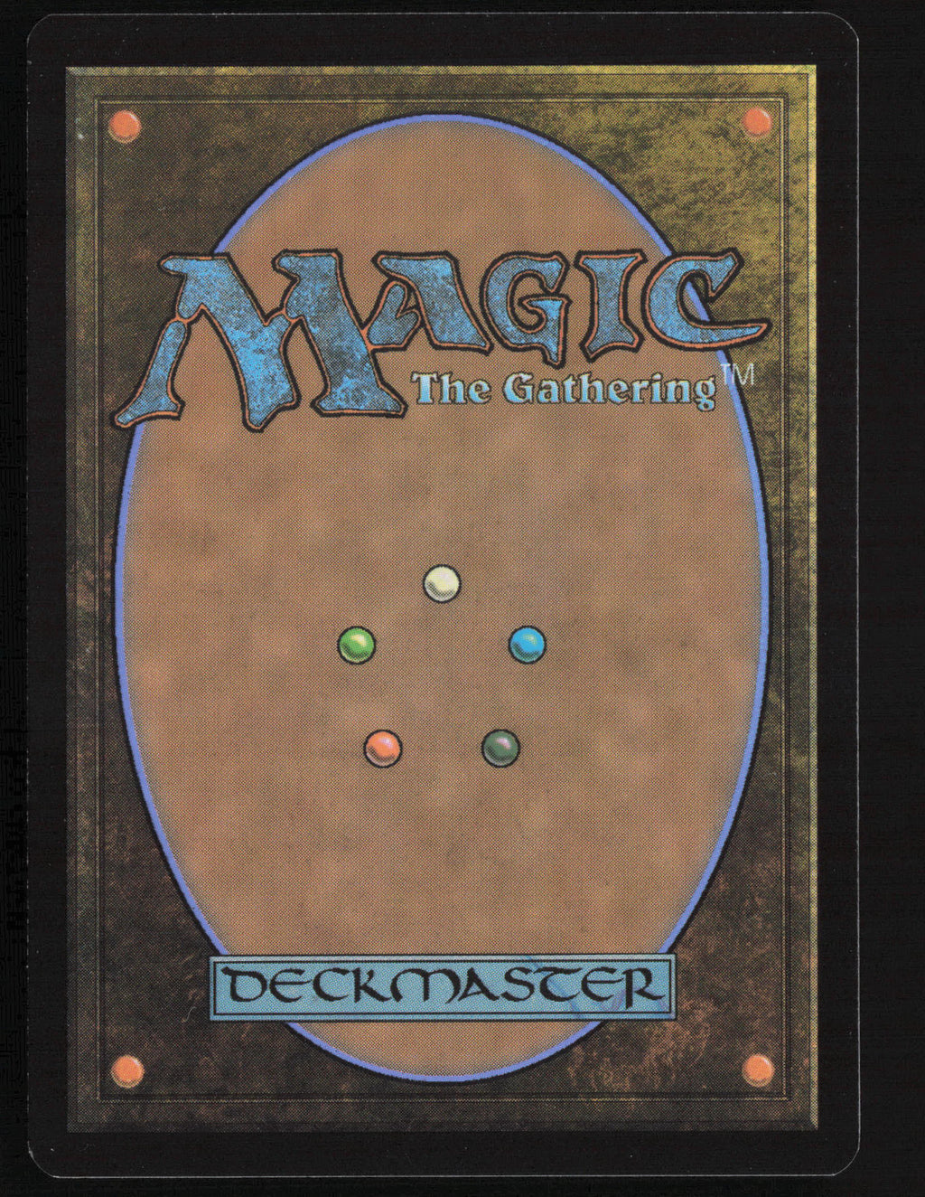 Fearless Swashbuckler (Back)