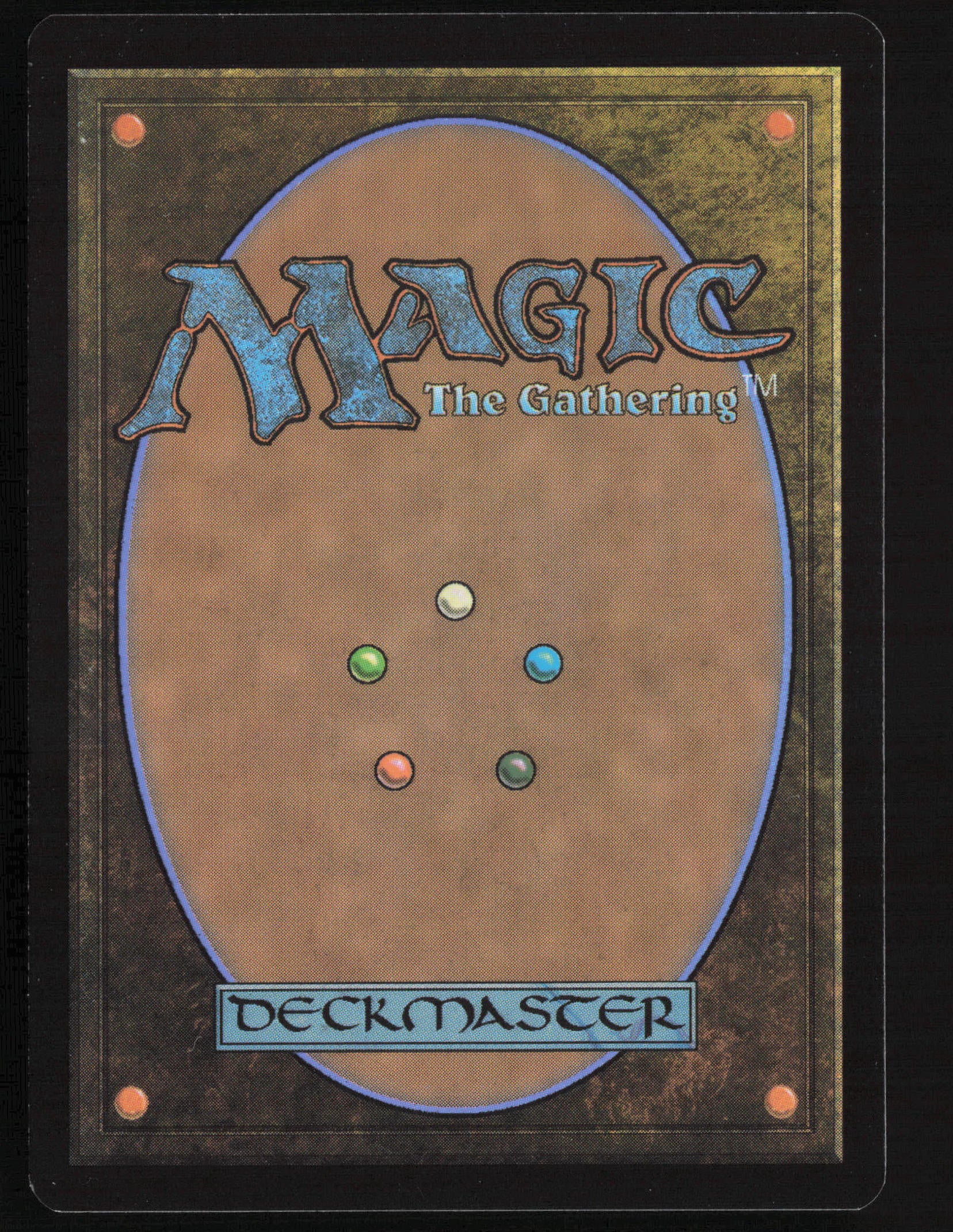 Fearless Swashbuckler (Back)