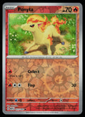 Ponyta
