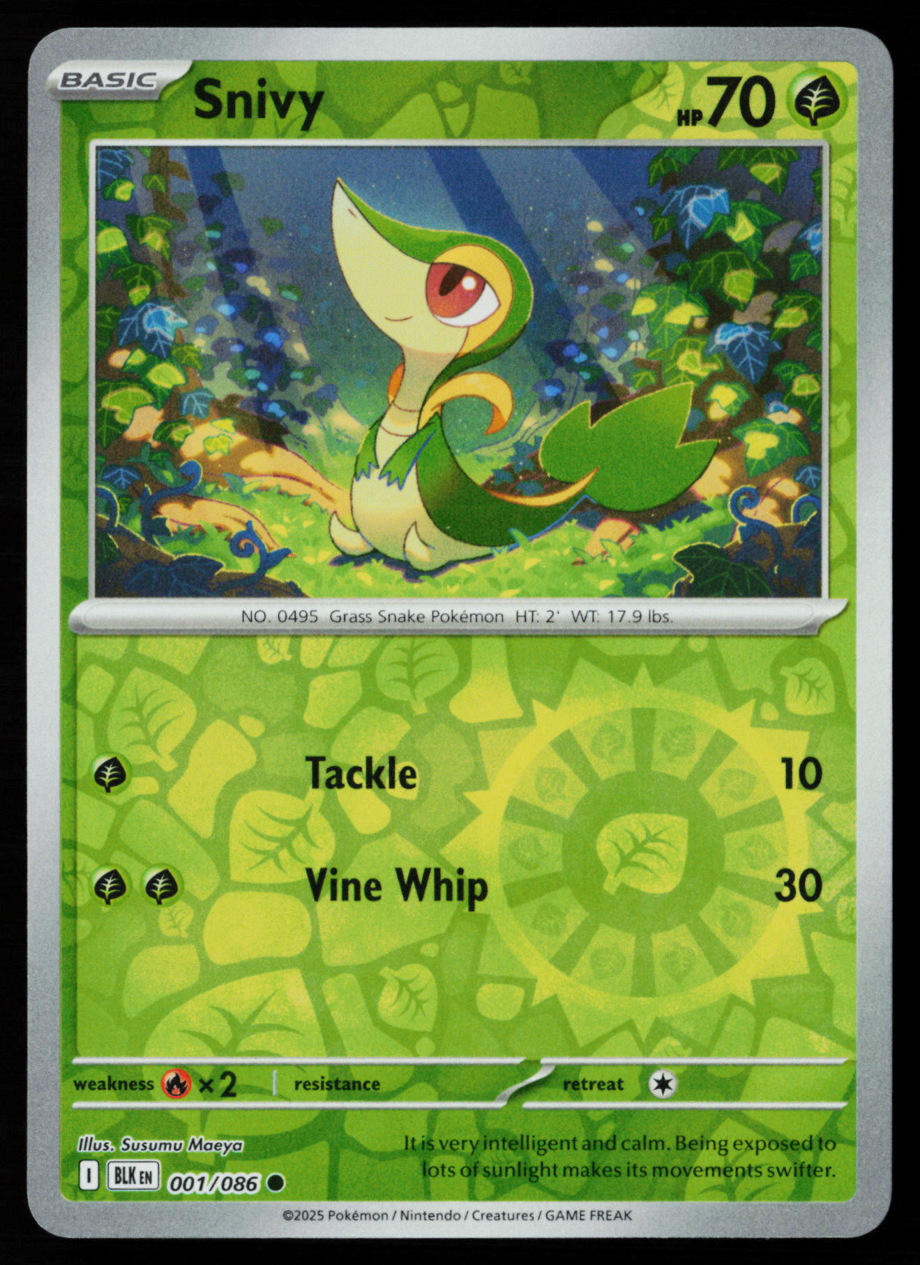Snivy