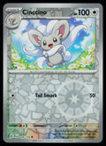 Cinccino