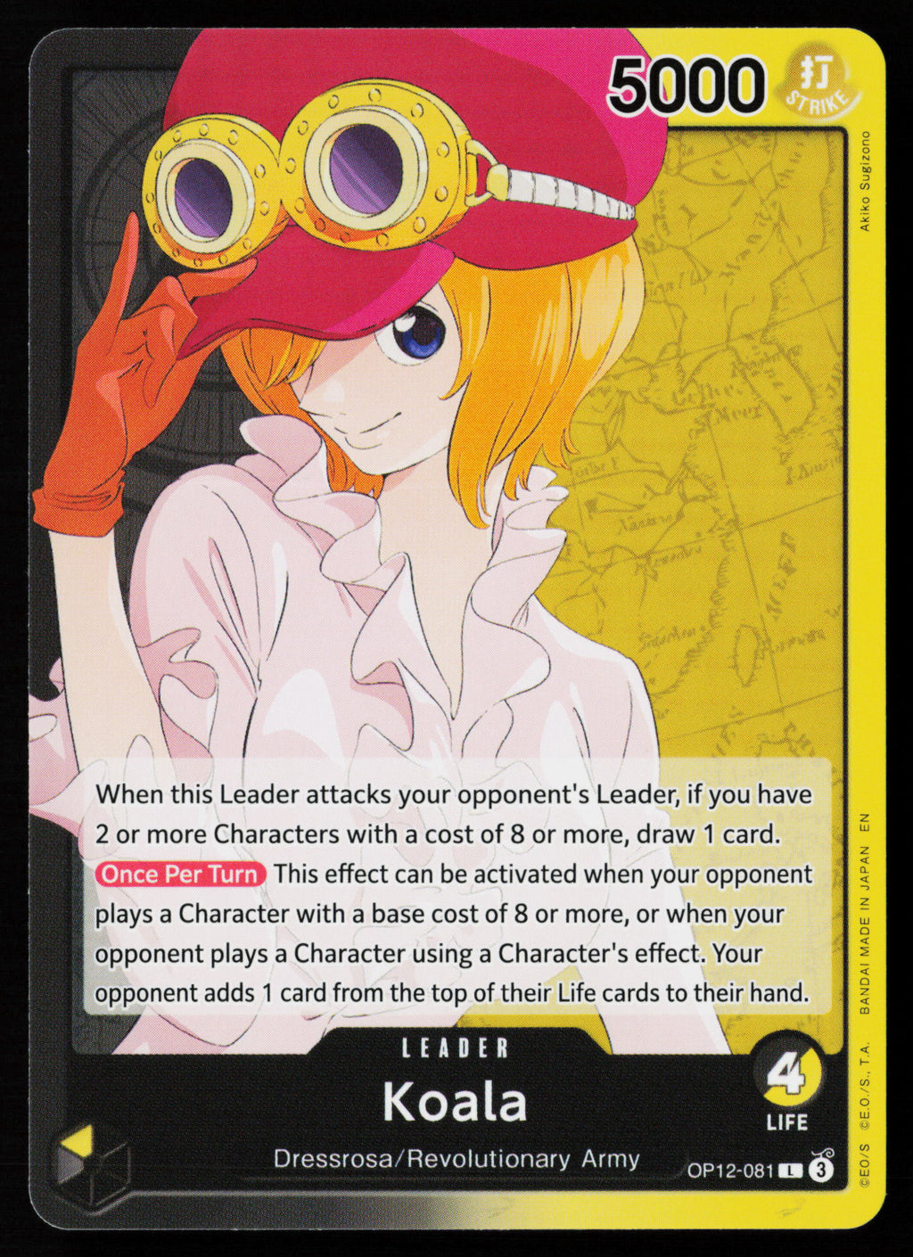 Koala (081)