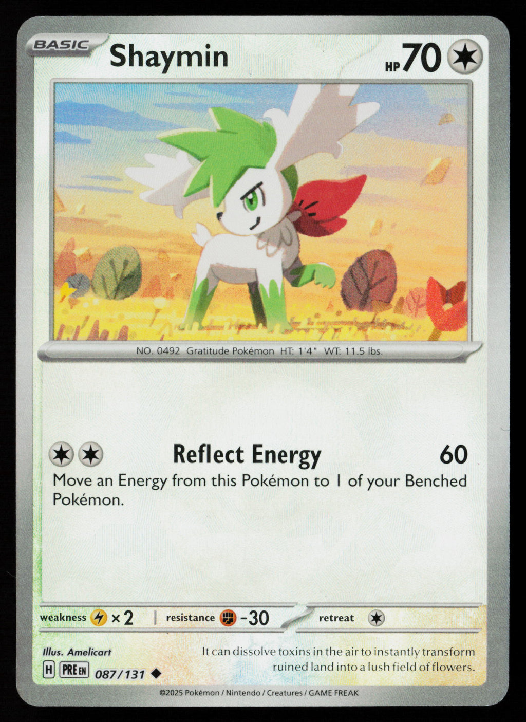 Shaymin (Poke Ball Pattern)