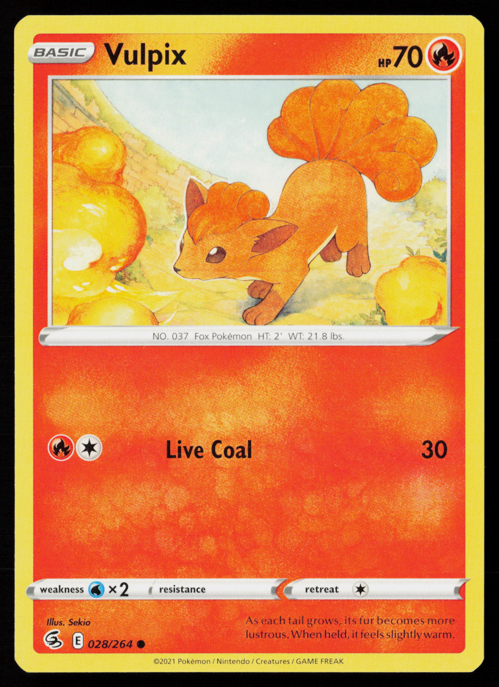 Vulpix (28)