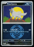 Poochyena (Dusk Ball)