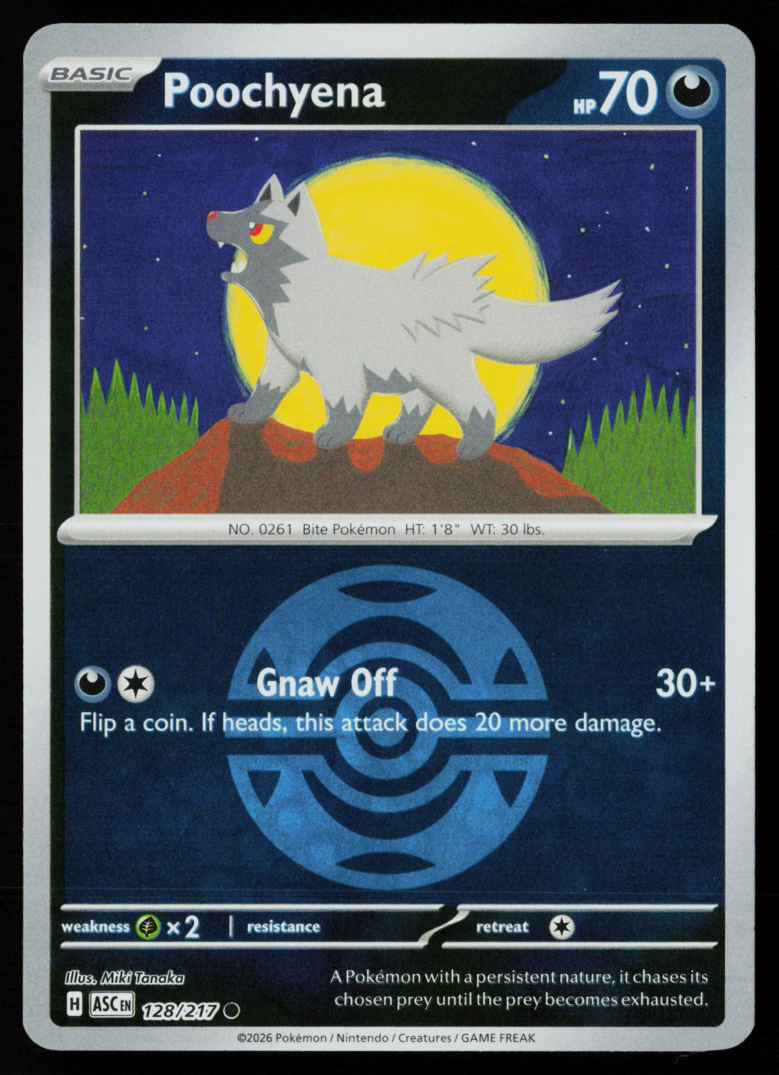 Poochyena (Dusk Ball)