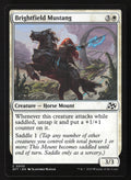 Brightfield Mustang