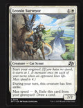 Leonin Surveyor