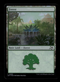 Forest (0290)
