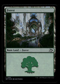 Forest (0291)