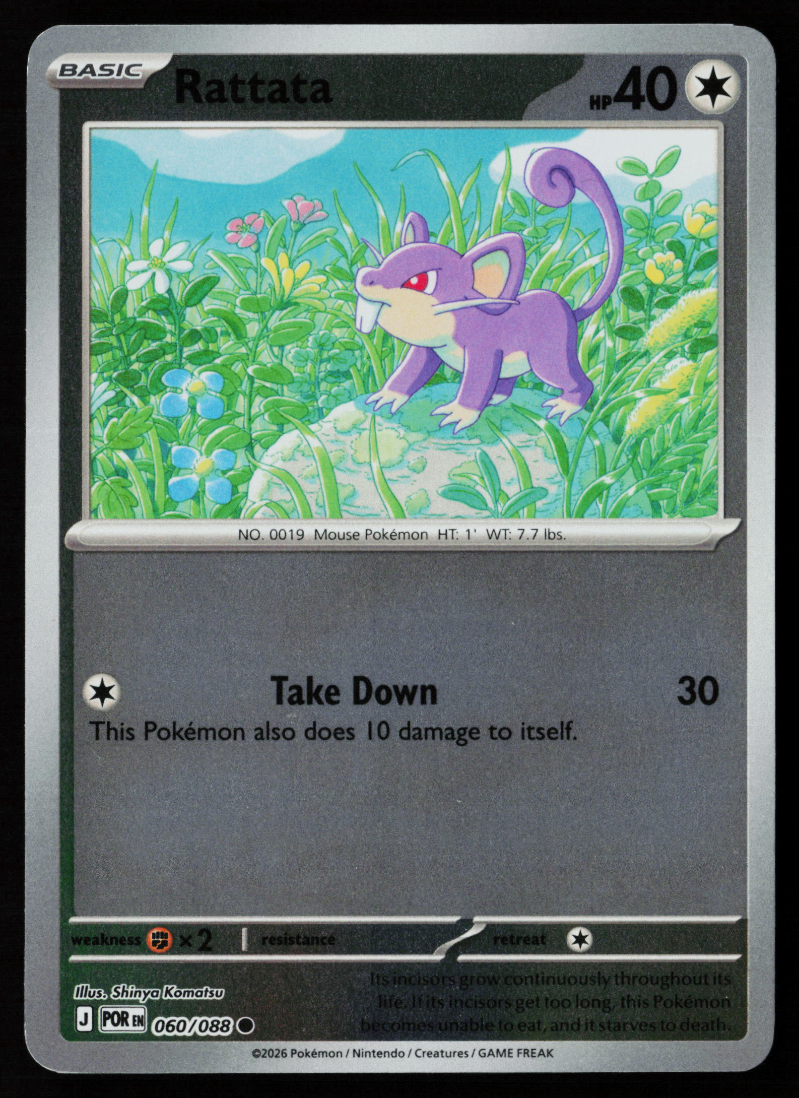 Rattata