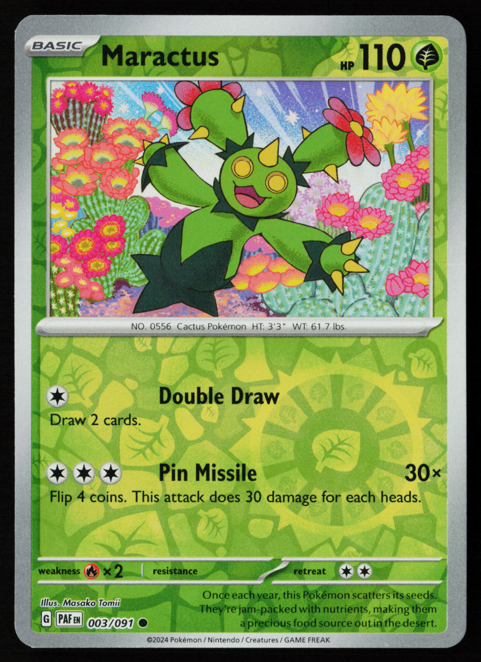 Maractus