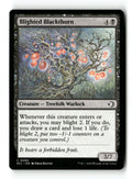 Blighted Blackthorn