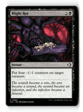 Blight Rot
