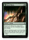 Shared Roots