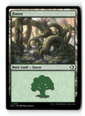 Forest (0273)