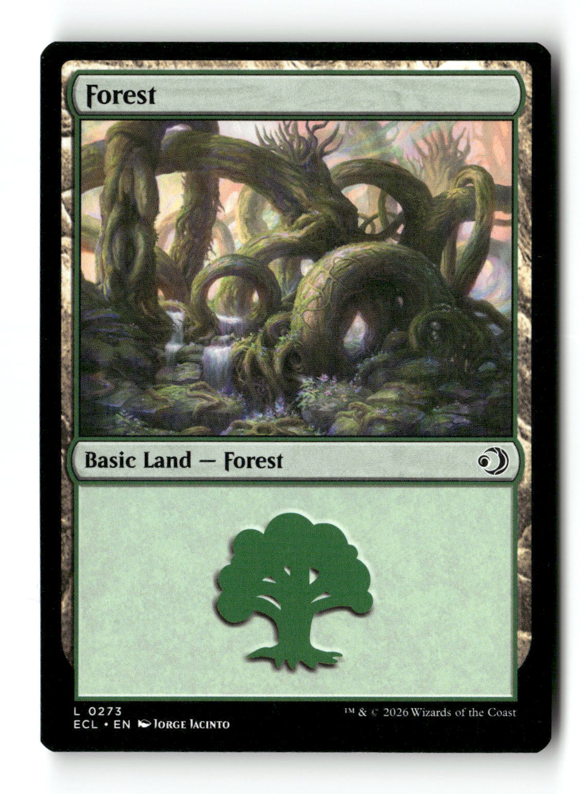 Forest (0273)