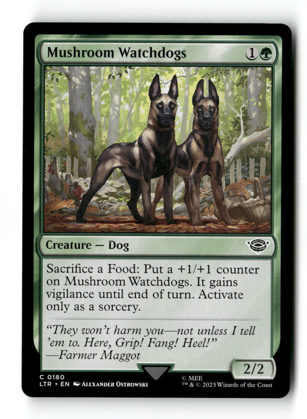 Mushroom Watchdogs