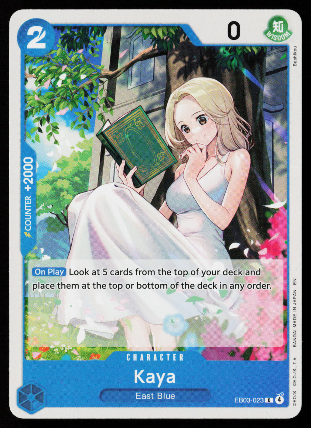 Kaya