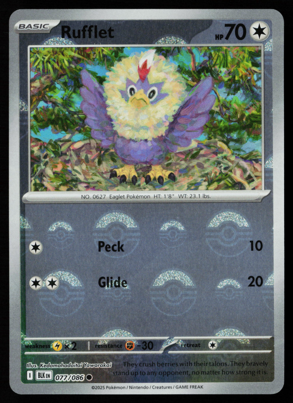 Rufflet (Poke Ball Pattern)