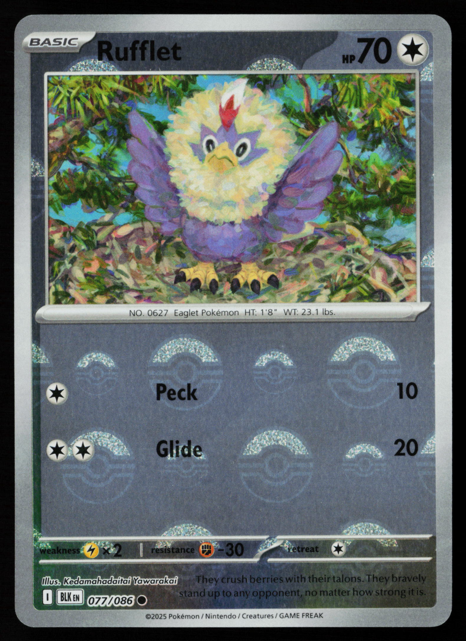 Rufflet (Poke Ball Pattern)