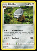Shieldon