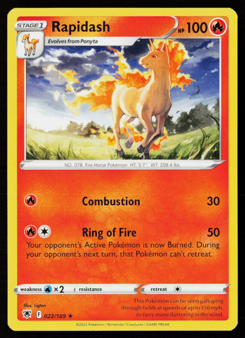 Rapidash