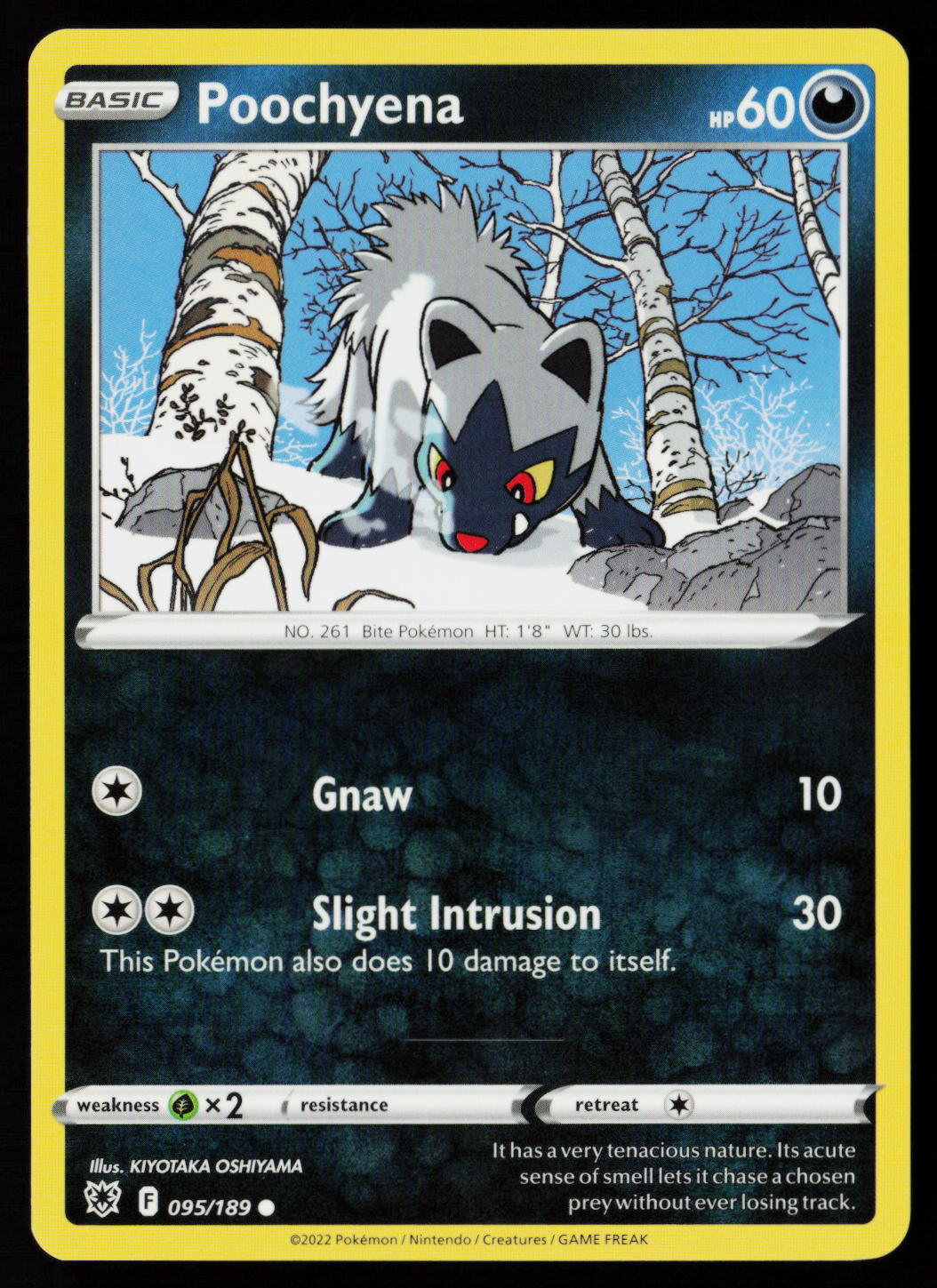 Poochyena