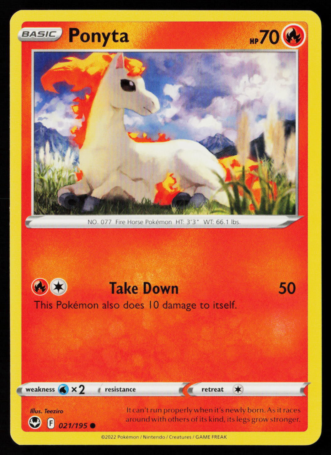 Ponyta