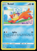 Buizel