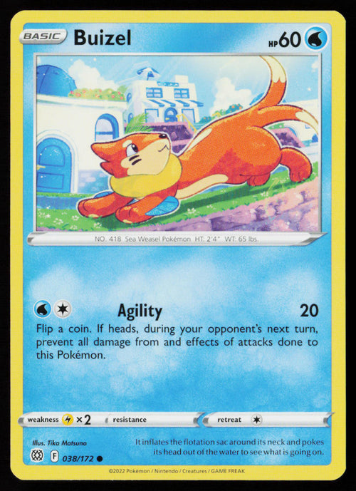 Buizel
