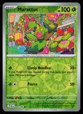 Maractus