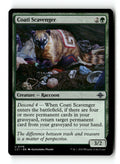 Coati Scavenger