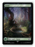 Forest (0306)