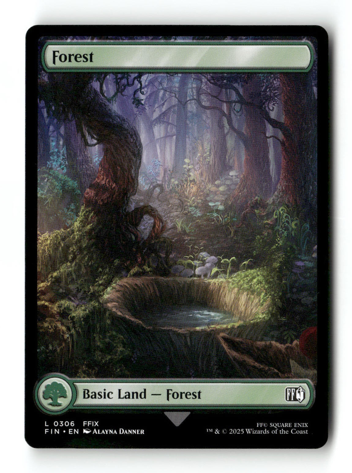 Forest (0306)