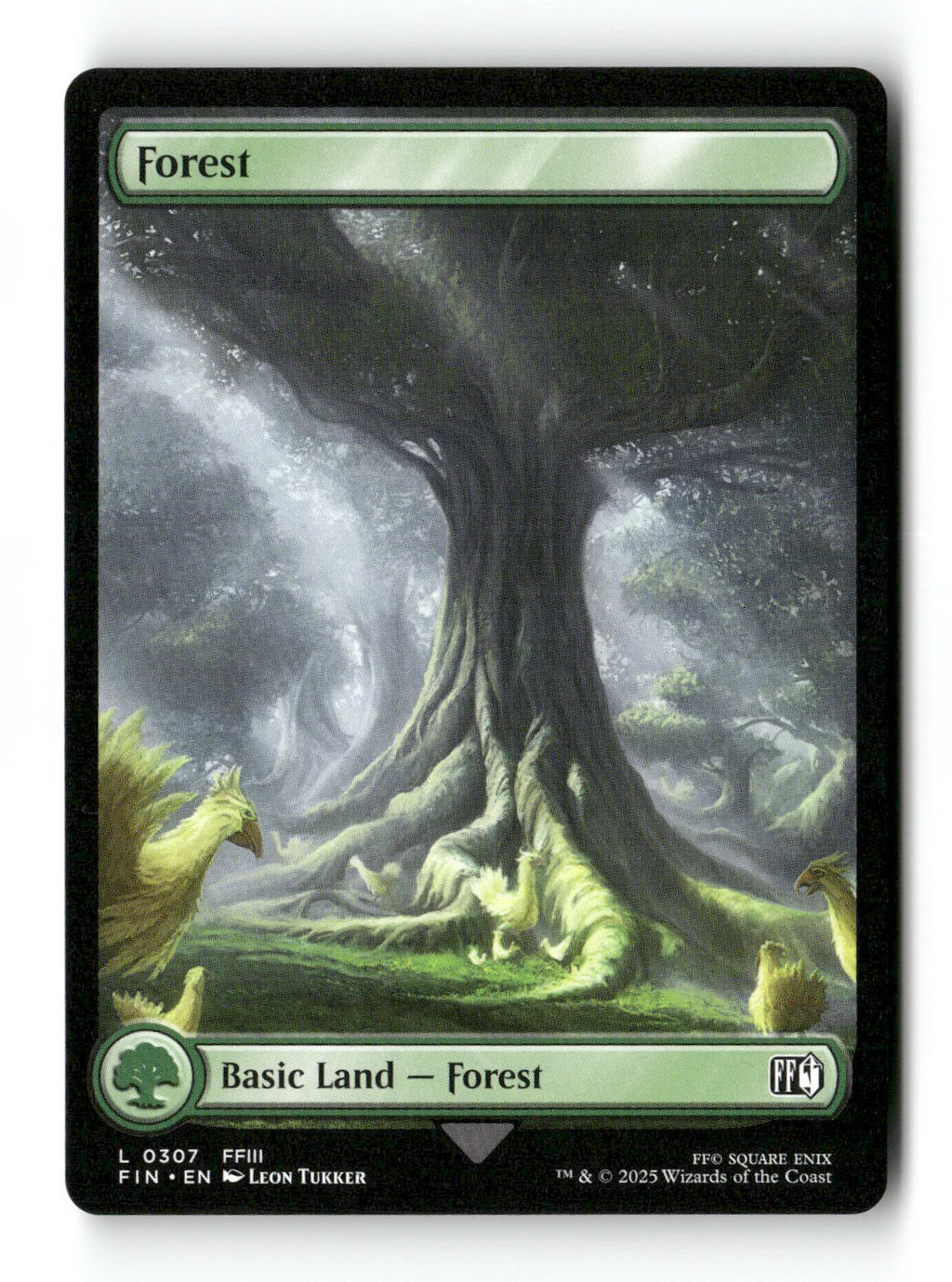 Forest (0307)