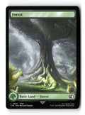 Forest (0307)
