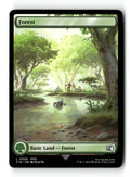 Forest (0308)
