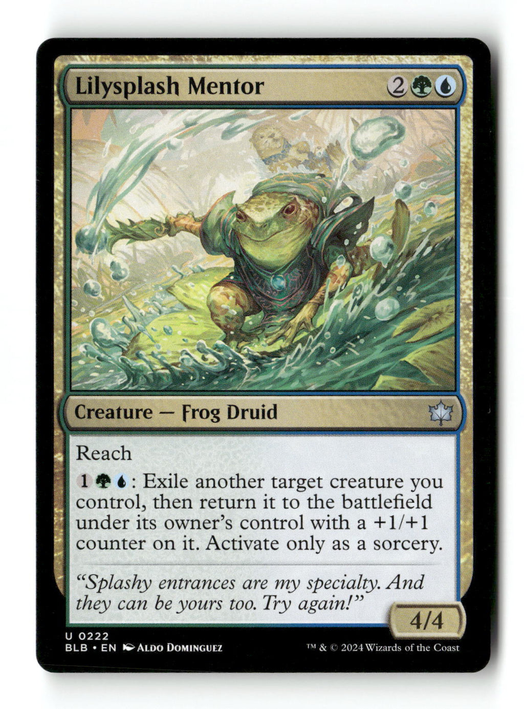 Lilysplash Mentor