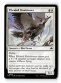 Pileated Provisioner