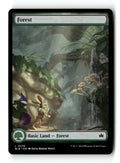 Forest (0278)