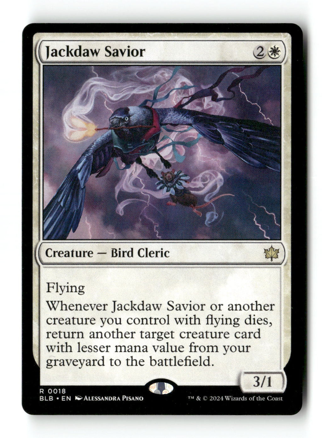 Jackdaw Savior