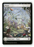Plains (0263)