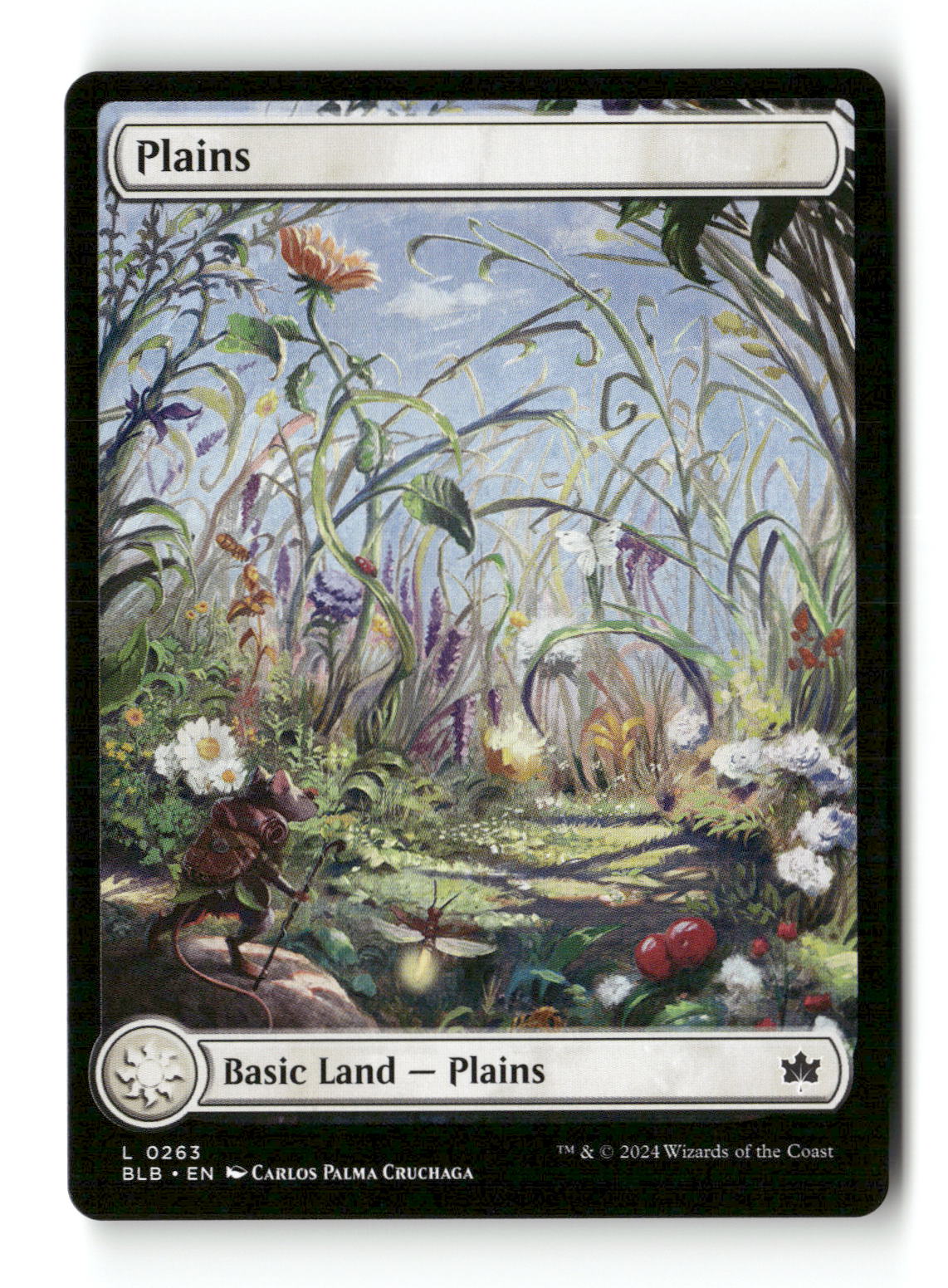 Plains (0263)