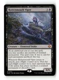Rottenmouth Viper